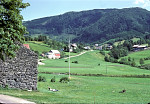 Mjeldalen, juli 1979 - Motiv frå Mjeldalen. Vernevegg på våningshus. Steinmuren til Mons R. Mjelde vart sett opp i 1861, året etter at sjølve huset vart bygt.