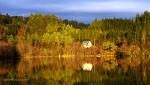 Hatland 2011 - Husavatnet. Det kvite huset tilhøyrde Erling Solberg og den raude hytta  ...